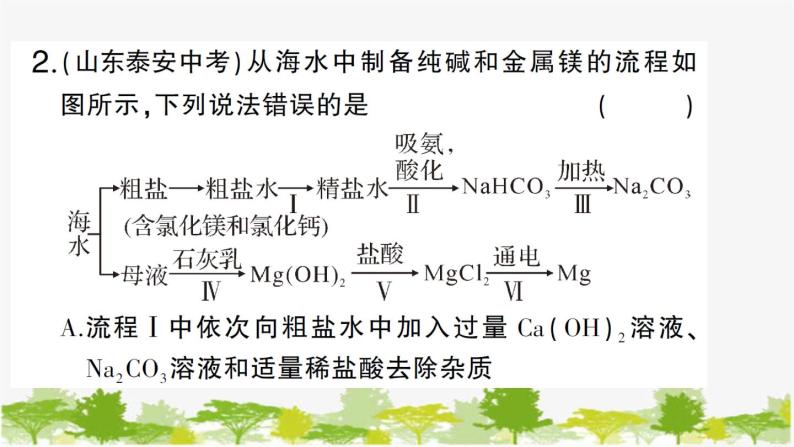 鲁教版化学九年级下册 第八单元 海水中的化学习题课件03