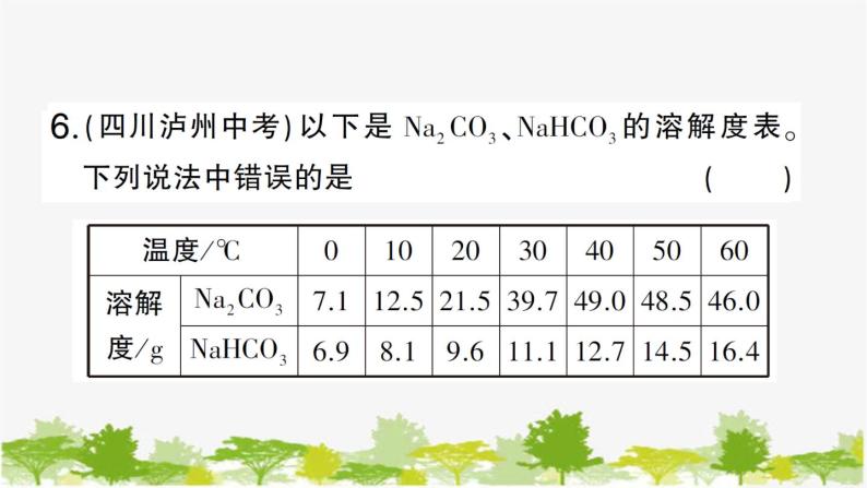 鲁教版化学九年级下册 第八单元 海水中的化学习题课件08