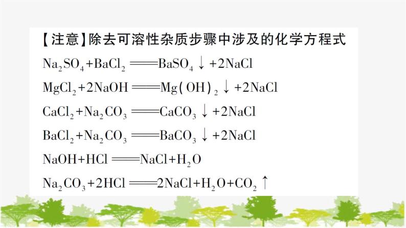 鲁教版化学九年级下册 第八单元 海水中的化学习题课件05