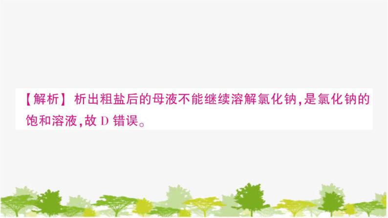 鲁教版化学九年级下册 第八单元 海水中的化学习题课件06