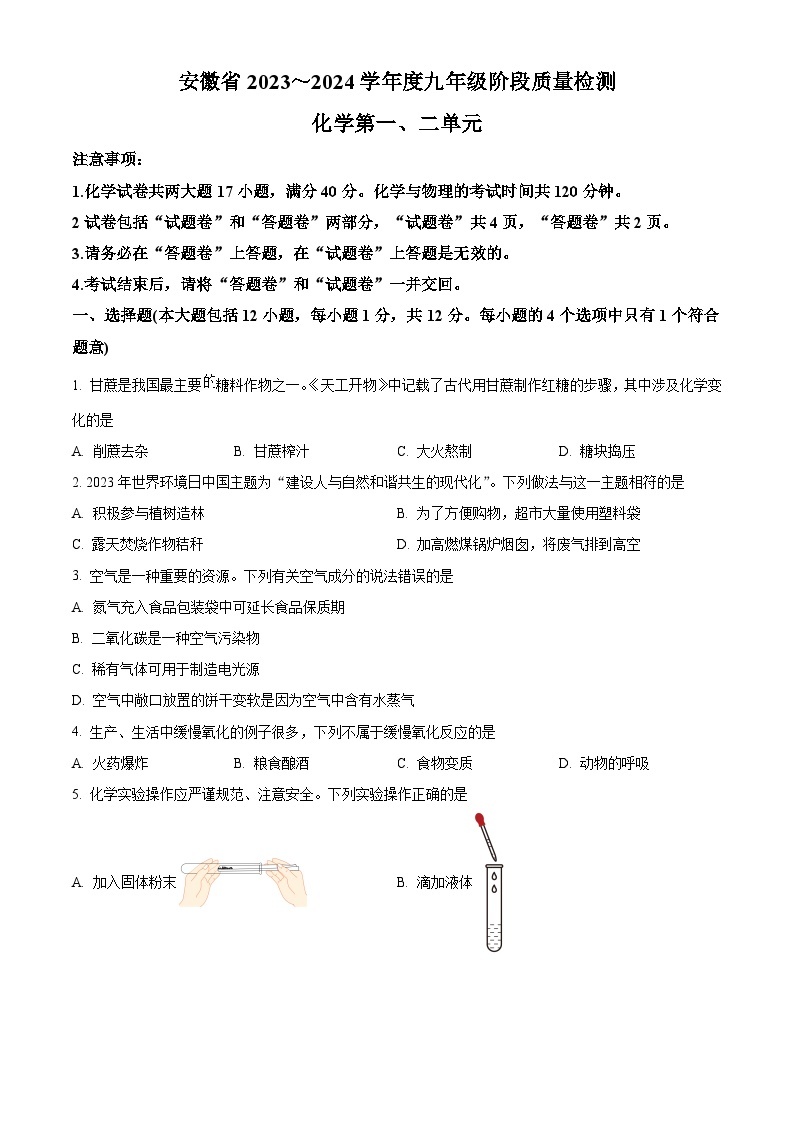 安徽省阜阳市太和县2023-2024学年九年级上学期10月月考化学试题（解析版）01
