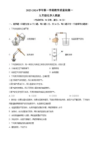 河南省周口市淮阳区十校联考2023-2024学年九年级上学期10月月考化学试题（解析版）