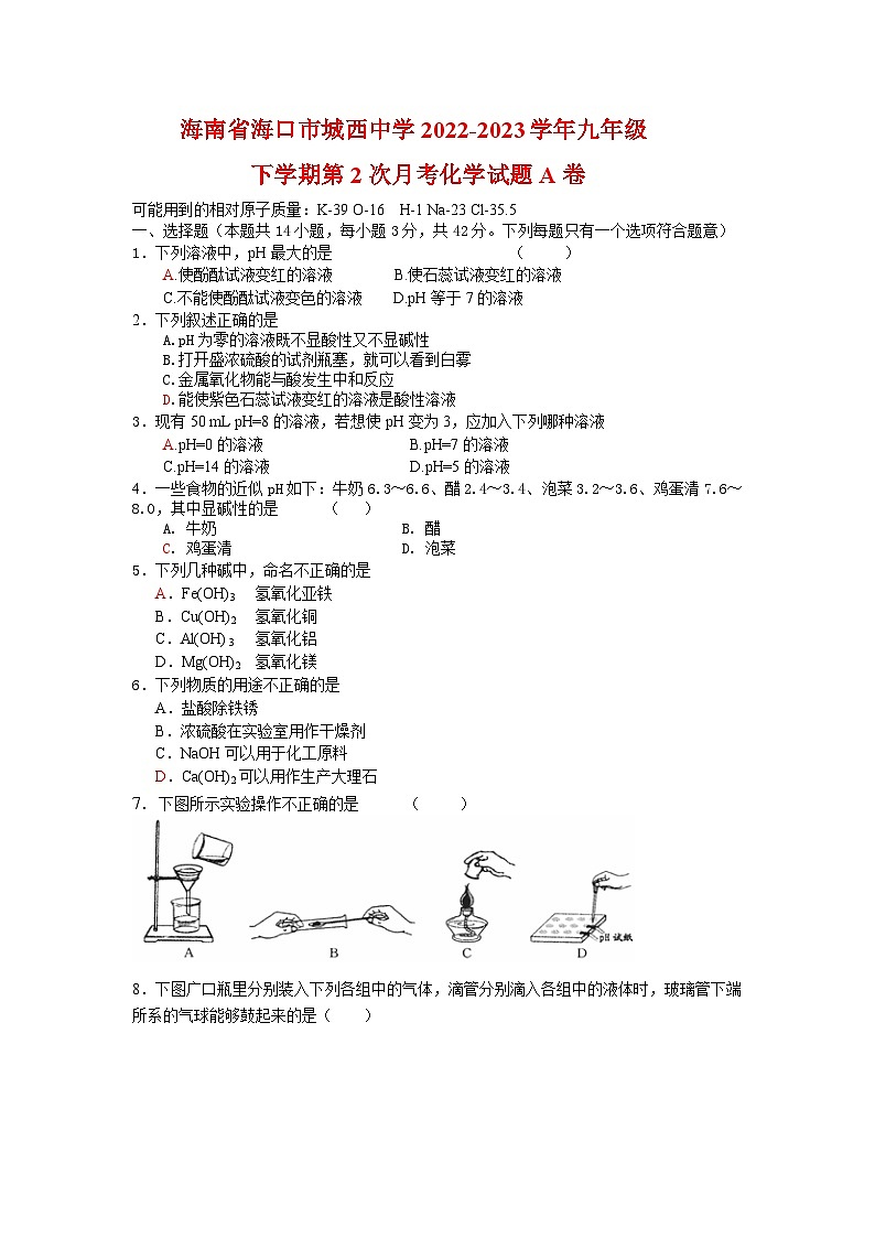 海南省海口市城西中学2022-2023学年九年级下学期第2次月考化学试题A卷第1页