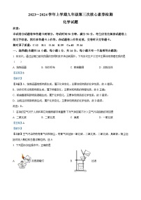 河南省周口市淮阳区2023-2024学年九年级上学期第三次月考化学试题（解析版）