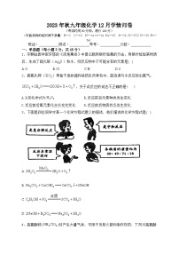 四川省巴中中学2023-2024学年九年级上学期化学12月学情问卷