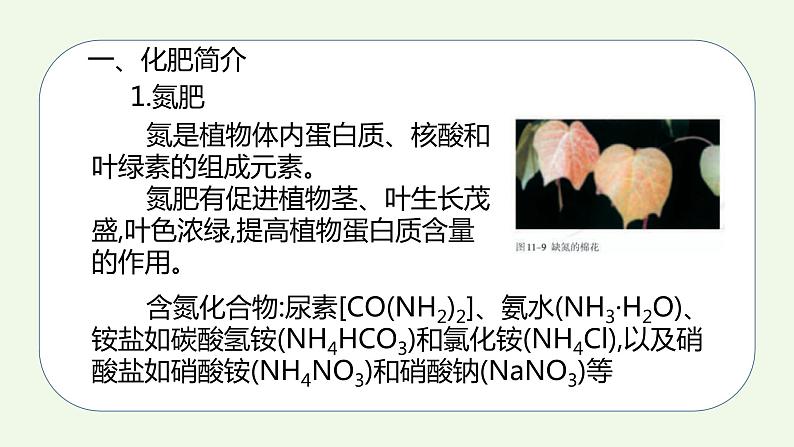 课题2课时1 化学肥料(1)-【本原课堂】2022-2023学年九年级下册化学同步课件(人教版)第5页