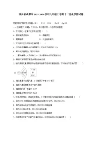 四川省成都市2023-2024学年九年级上学期十二月化学测试卷（含答案）