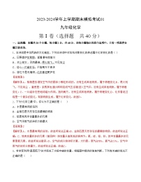 九年级化学期末模拟卷01(全国通用,人教版1-9单元)-2023-2024学年初中上学期期末模拟考试