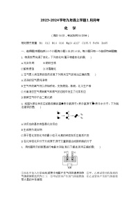 河南省商丘市柘城县2023-2024学年九年级上学期1月月考化学试题