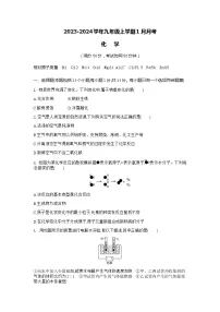 河南省商丘市柘城县2023-2024学年九年级上学期1月月考化学试题