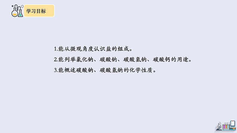 11.1 生活中常见的盐 第1课时 课件 2023-2024学年人教版化学九年级下册03