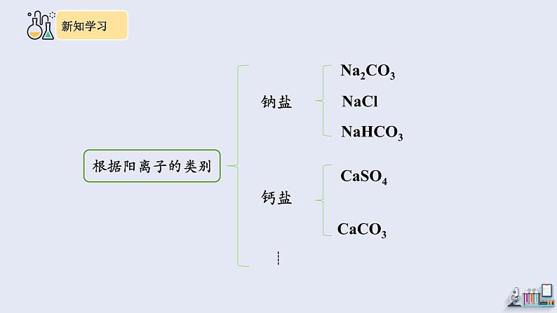 11.1 生活中常见的盐 第1课时 课件 2023-2024学年人教版化学九年级下册06