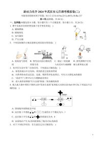 湖北省武汉市2023-2024学年九年级上学期元调模拟化学试卷(二）