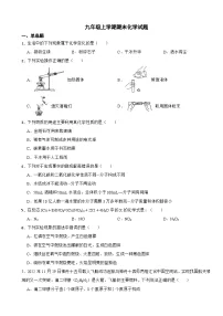 黑龙江省齐齐哈尔市2023年九年级上学期期末化学试题附答案