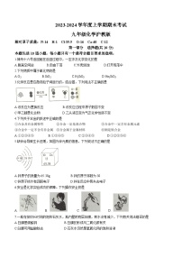 ,辽宁省沈阳市康平县2023-2024学年九年级上学期期末考试化学试题(无答案)