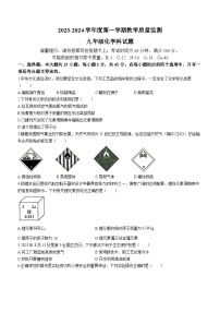 广东省揭阳市2023-2024学年九年级上学期期末化学试题