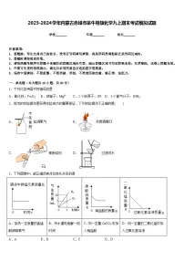 2023-2024学年内蒙古赤峰市翁牛特旗化学九上期末考试模拟试题含答案