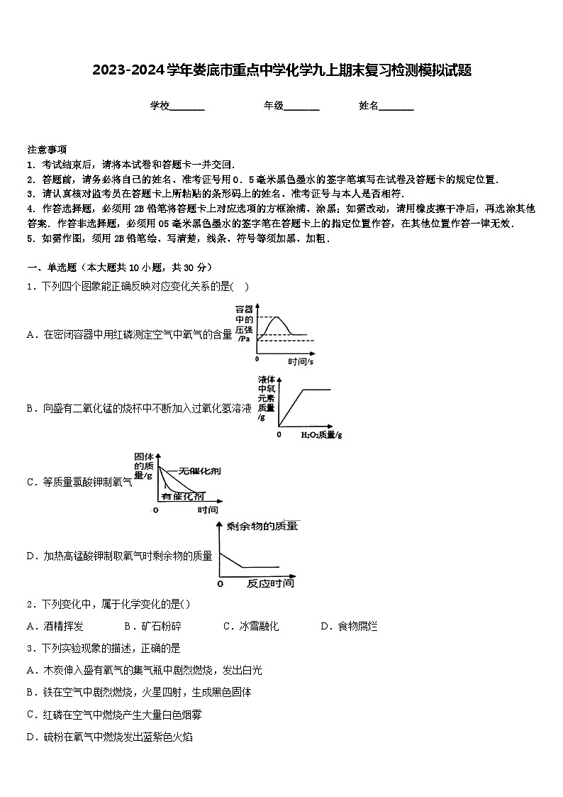 2023-2024学年娄底市重点中学化学九上期末复习检测模拟试题含答案01