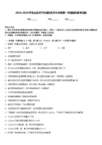 2023-2024学年山东济宁任城区化学九年级第一学期期末联考试题含答案