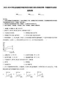 2023-2024学年山东省临沂市临沂经济开发区九级九年级化学第一学期期末学业质量监测试题含答案