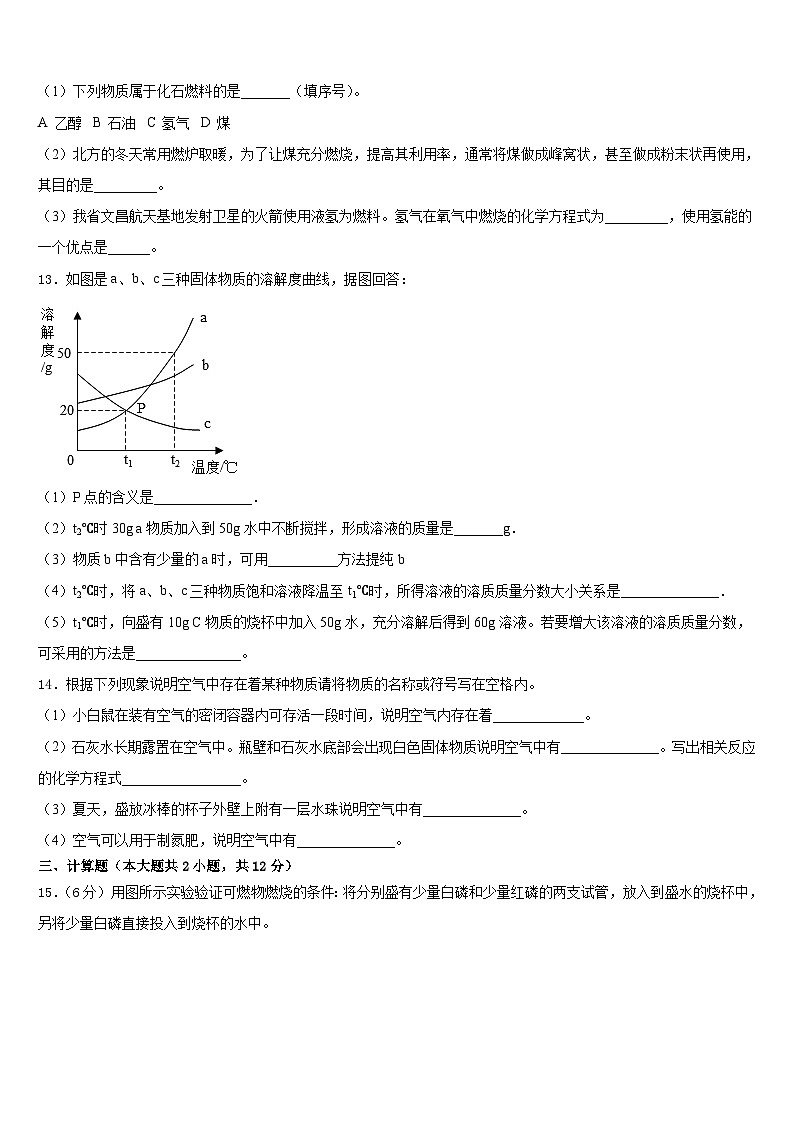 2023-2024学年山东省乐陵市实验中学化学九年级第一学期期末教学质量检测模拟试题含答案03
