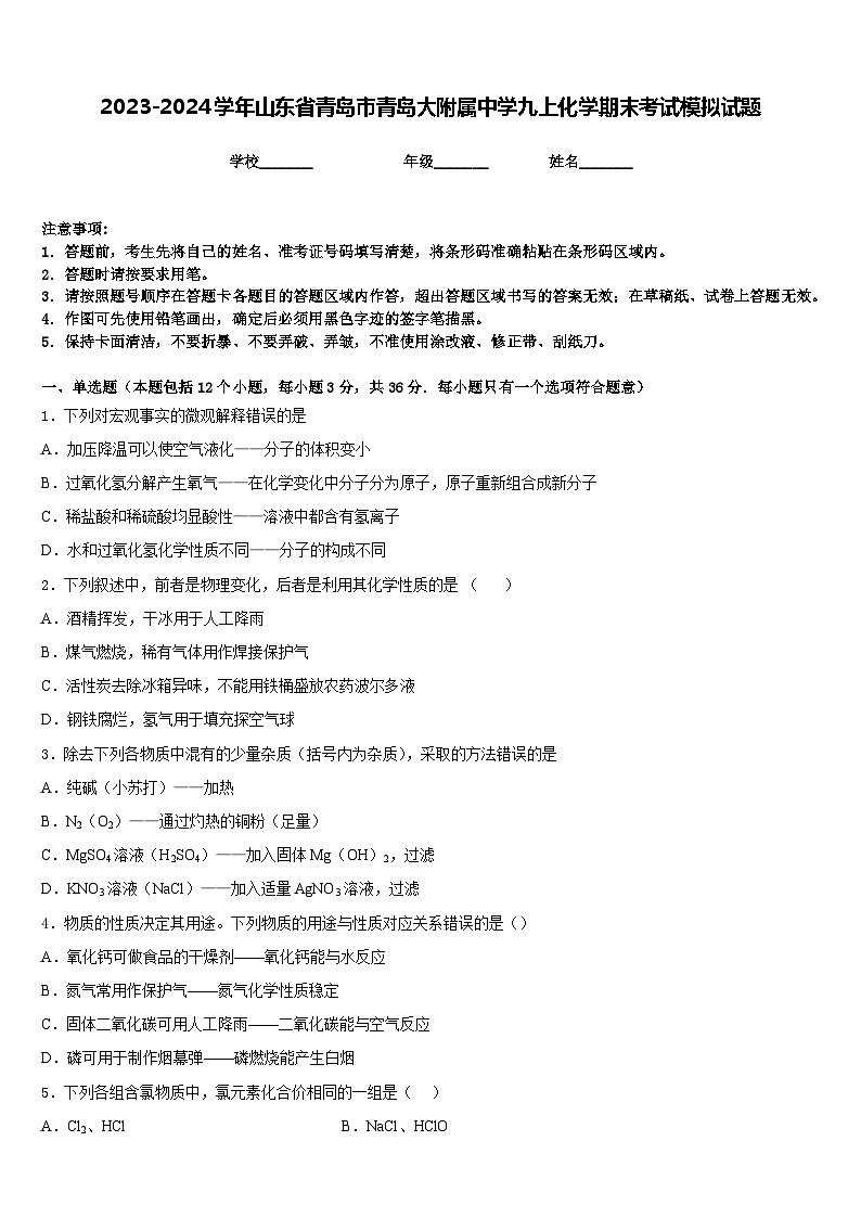 2023-2024学年山东省青岛市青岛大附属中学九上化学期末考试模拟试题含答案第1页