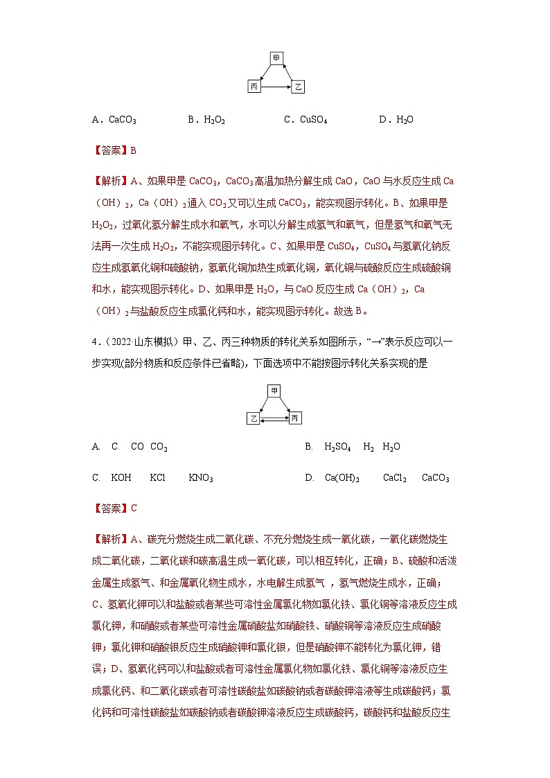 专题06 物质的转化与推断(练习)-2022年中考化学二轮复习讲练测(解析版)第2页