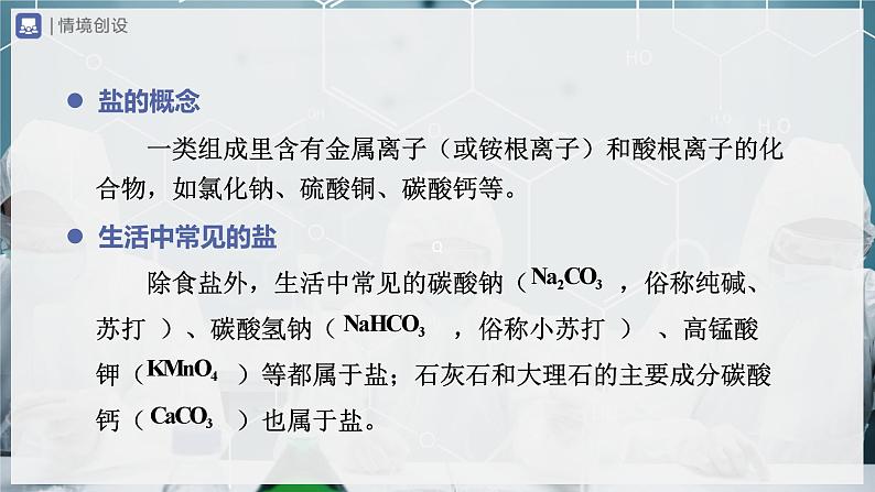 【人教版】九下化学 11.1 生活中常见的盐(第1课时)(课件+教案+导学案+分层练习)03