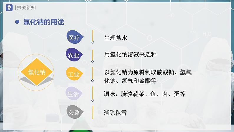 【人教版】九下化学 11.1 生活中常见的盐(第1课时)(课件+教案+导学案+分层练习)06