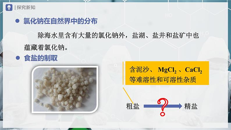 【人教版】九下化学 11.1 生活中常见的盐(第1课时)(课件+教案+导学案+分层练习)07