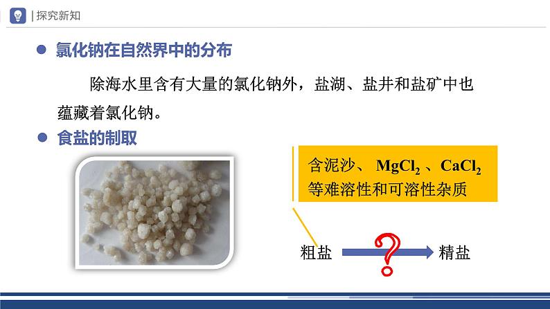 【基于核心素养的教学】课题1 《生活中常见的盐》课件PPT(三课时)08