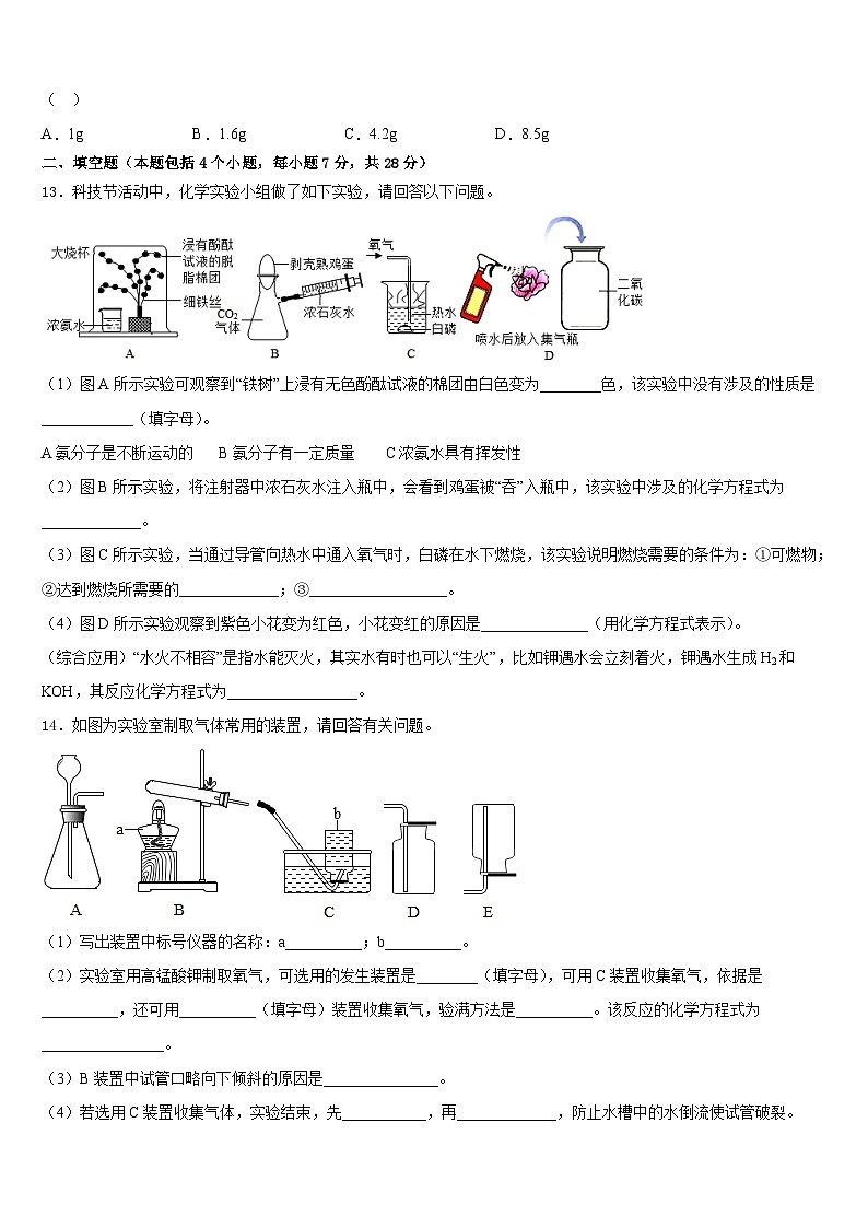 2023-2024学年江苏省邳州市新河中学化学九上期末复习检测试题含答案第3页