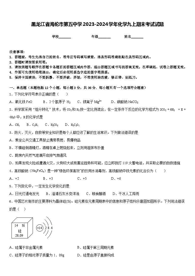 黑龙江省海伦市第五中学2023-2024学年化学九上期末考试试题含答案第1页
