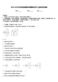 2023-2024学年湖北省黄冈市蕲春县化学九上期末统考试题含答案