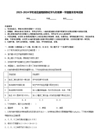 2023-2024学年湖北省阳新县化学九年级第一学期期末统考试题含答案