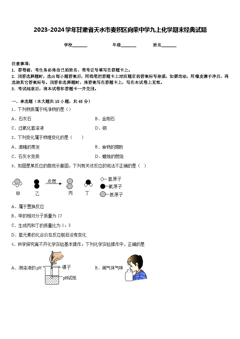 2023-2024学年甘肃省天水市麦积区向荣中学九上化学期末经典试题含答案第1页