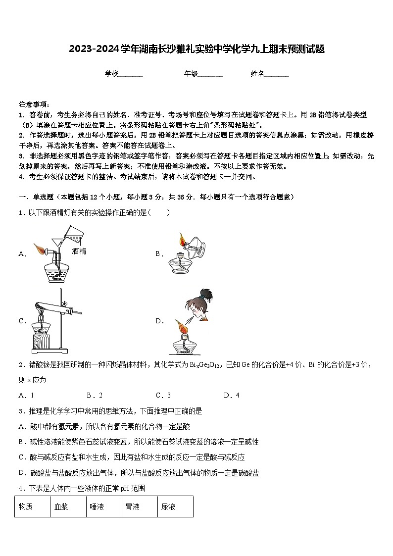 2023-2024学年湖南长沙雅礼实验中学化学九上期末预测试题含答案01