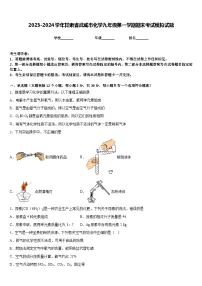 2023-2024学年甘肃省武威市化学九年级第一学期期末考试模拟试题含答案