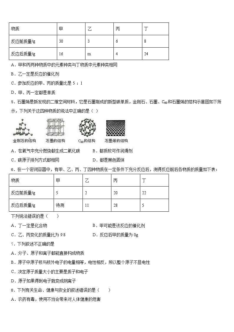 四川广安友谊中学2023-2024学年九上化学期末质量检测模拟试题含答案第2页