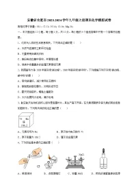 安徽省合肥市2023-2024学年九年级上册期末化学检测试卷(附答案)