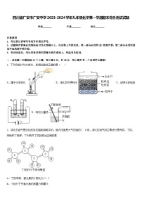 四川省广安市广安中学2023-2024学年九年级化学第一学期期末综合测试试题含答案