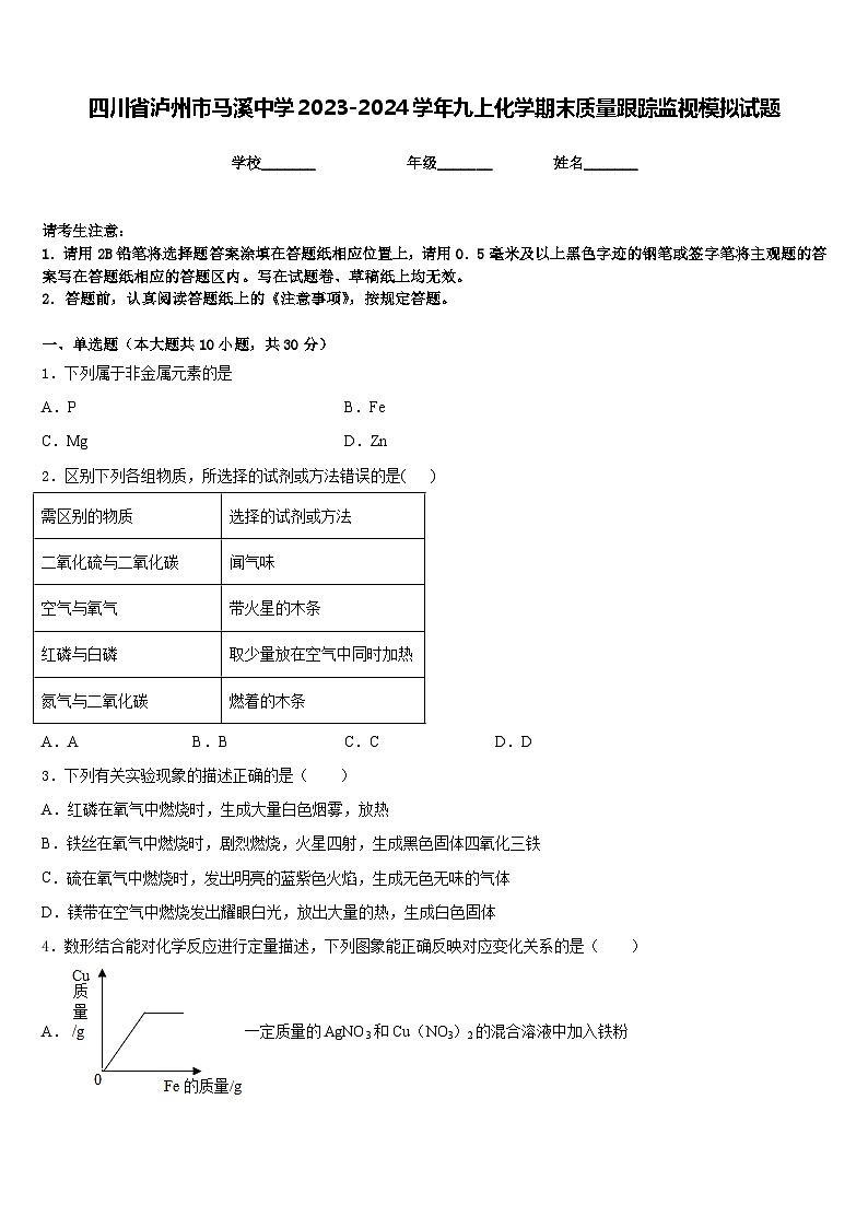 四川省泸州市马溪中学2023-2024学年九上化学期末质量跟踪监视模拟试题含答案第1页