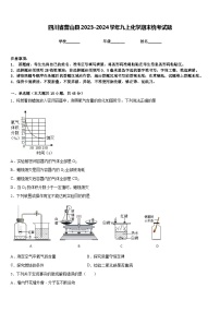 四川省营山县2023-2024学年九上化学期末统考试题含答案