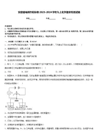 安徽省亳州市利辛县2023-2024学年九上化学期末检测试题含答案
