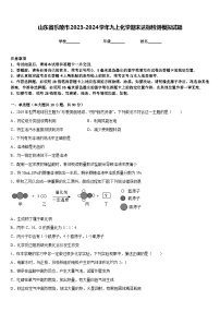 山东省乐陵市2023-2024学年九上化学期末达标检测模拟试题含答案
