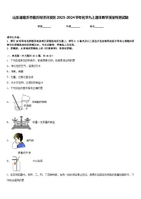 山东省临沂市临沂经济开发区2023-2024学年化学九上期末教学质量检测试题含答案