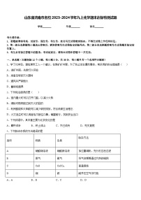 山东省济南市名校2023-2024学年九上化学期末达标检测试题含答案