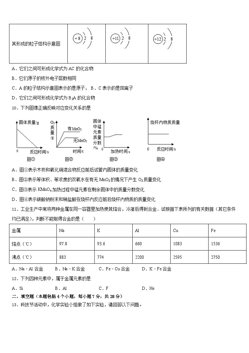 山东省枣庄市名校2023-2024学年九上化学期末调研模拟试题含答案第3页