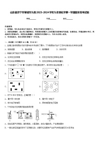 山东省济宁市邹城市九级2023-2024学年九年级化学第一学期期末统考试题含答案