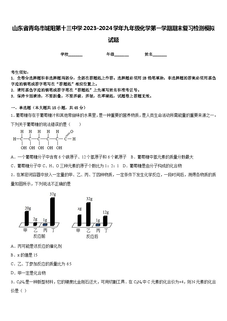 山东省青岛市城阳第十三中学2023-2024学年九年级化学第一学期期末复习检测模拟试题含答案第1页